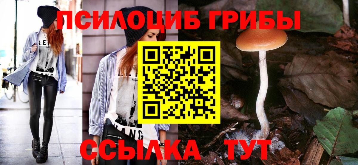 Лесозаводск  Галлюциногенные грибы Psilocybe  Вход с VPN  Псилоцибиновые грибы ЛСД 